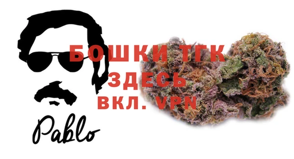 молекула духа Надым