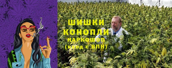 молекула духа Надым