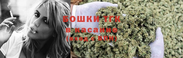 молекула духа Надым