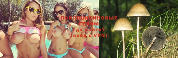 амф Наволоки